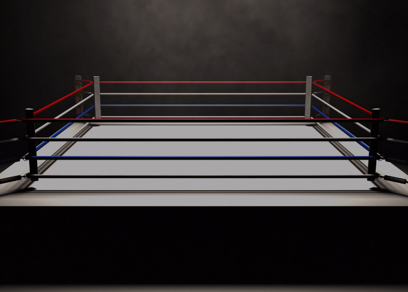 Boxing Gloves Collection