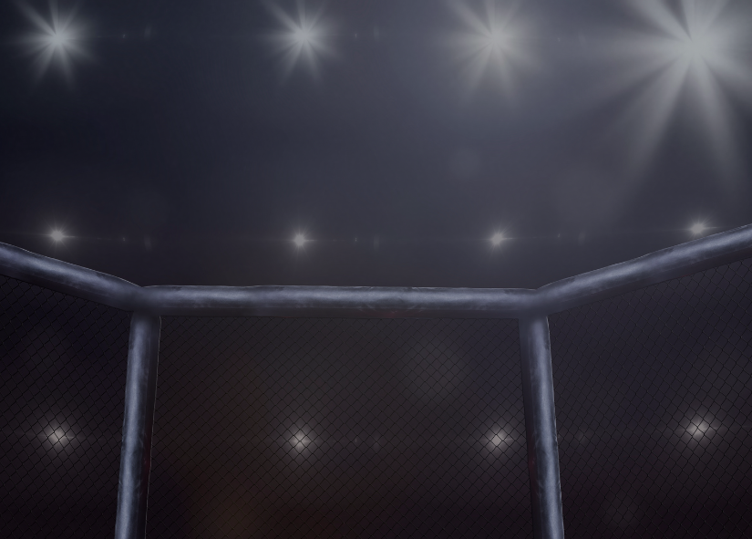 MMA Gloves & Equipment